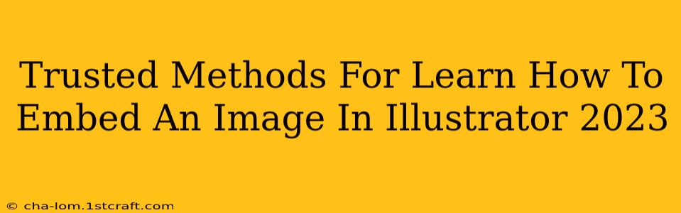 Trusted Methods For Learn How To Embed An Image In Illustrator 2023