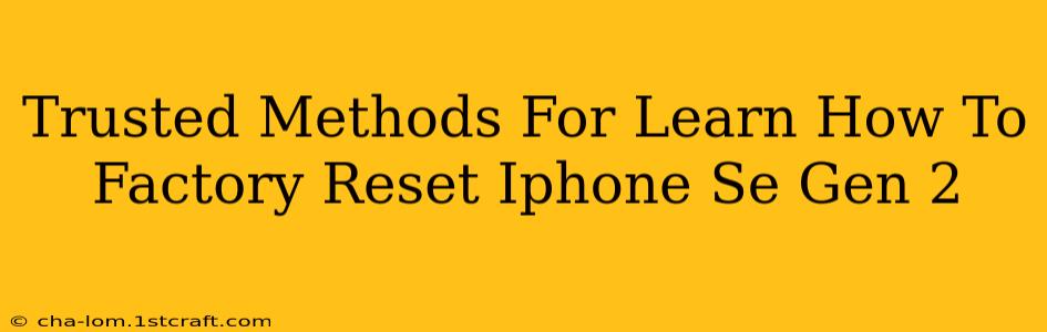 Trusted Methods For Learn How To Factory Reset Iphone Se Gen 2