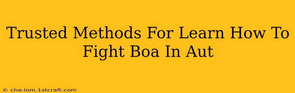 Trusted Methods For Learn How To Fight Boa In Aut