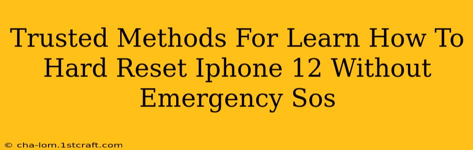 Trusted Methods For Learn How To Hard Reset Iphone 12 Without Emergency Sos