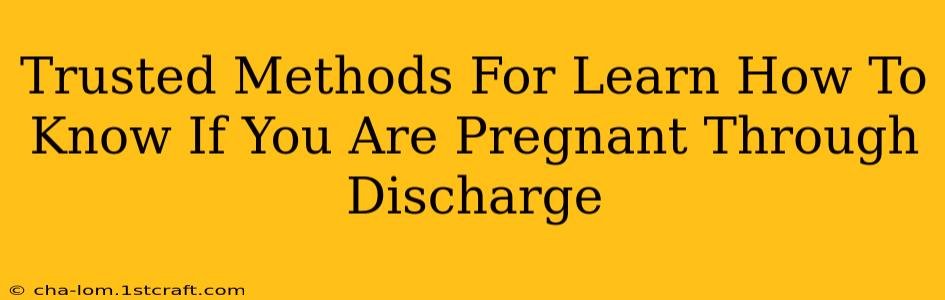 Trusted Methods For Learn How To Know If You Are Pregnant Through Discharge