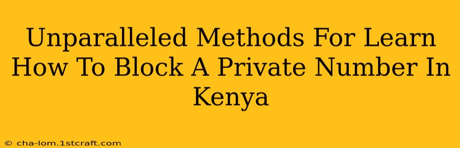 Unparalleled Methods For Learn How To Block A Private Number In Kenya