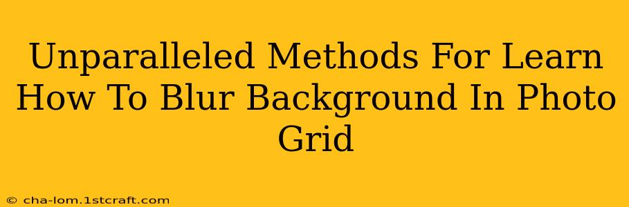 Unparalleled Methods For Learn How To Blur Background In Photo Grid
