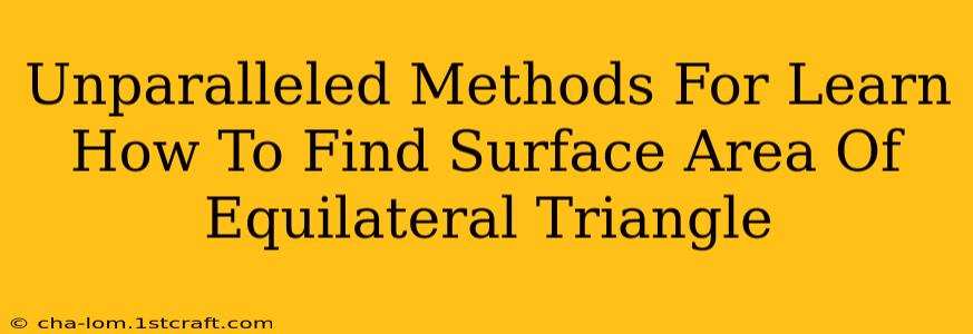 Unparalleled Methods For Learn How To Find Surface Area Of Equilateral Triangle