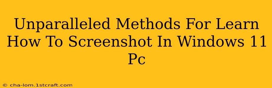 Unparalleled Methods For Learn How To Screenshot In Windows 11 Pc