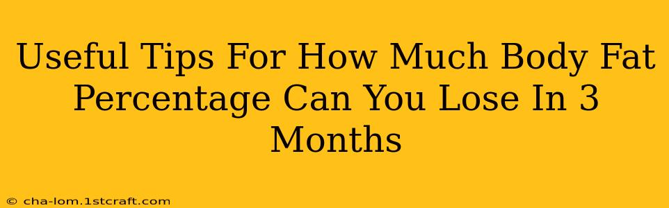 Useful Tips For How Much Body Fat Percentage Can You Lose In 3 Months