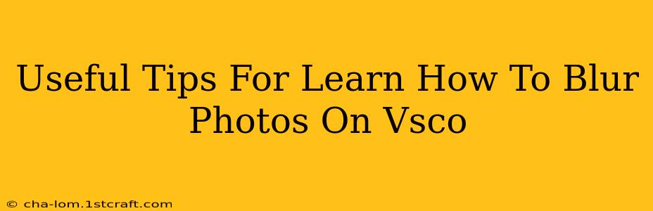 Useful Tips For Learn How To Blur Photos On Vsco