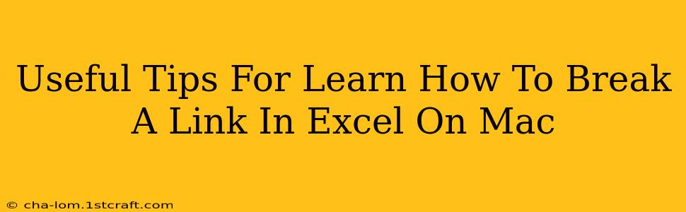 Useful Tips For Learn How To Break A Link In Excel On Mac