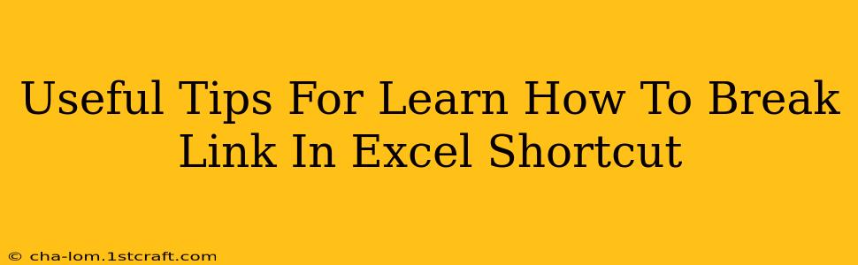 Useful Tips For Learn How To Break Link In Excel Shortcut