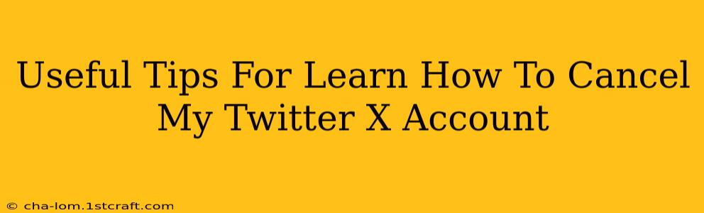 Useful Tips For Learn How To Cancel My Twitter X Account