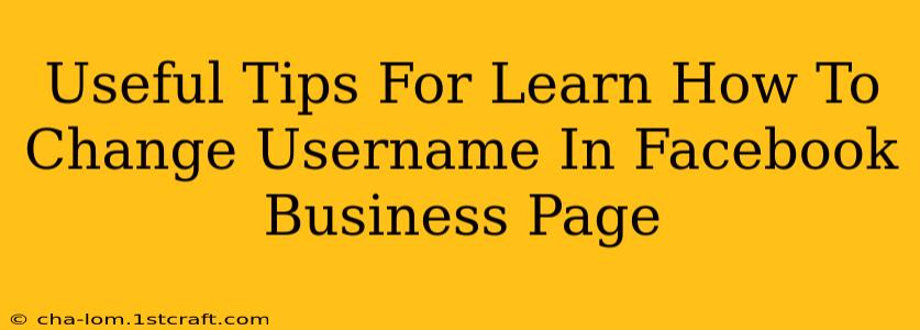 Useful Tips For Learn How To Change Username In Facebook Business Page