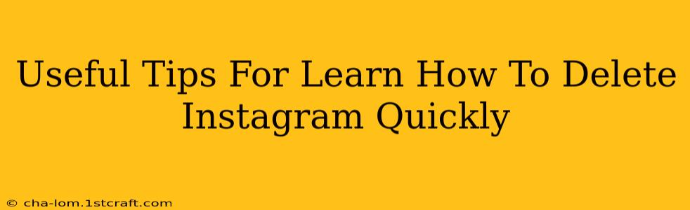 Useful Tips For Learn How To Delete Instagram Quickly