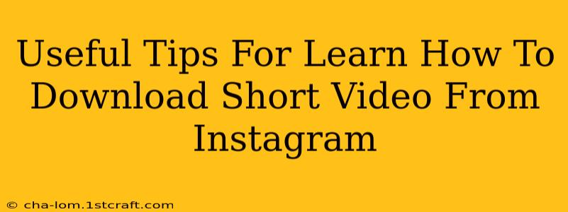 Useful Tips For Learn How To Download Short Video From Instagram