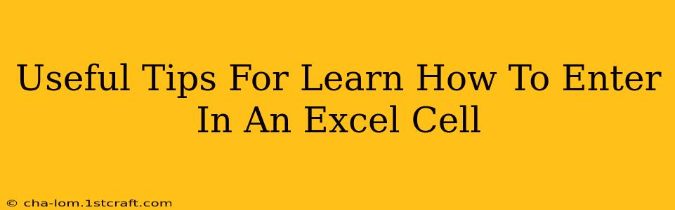 Useful Tips For Learn How To Enter In An Excel Cell