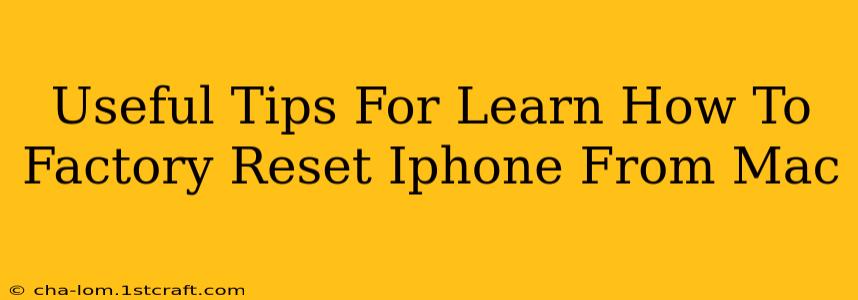 Useful Tips For Learn How To Factory Reset Iphone From Mac