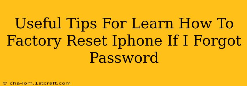 Useful Tips For Learn How To Factory Reset Iphone If I Forgot Password