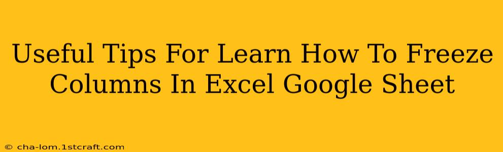 Useful Tips For Learn How To Freeze Columns In Excel Google Sheet