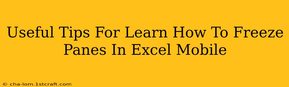 Useful Tips For Learn How To Freeze Panes In Excel Mobile