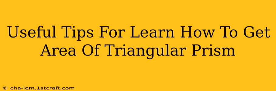 Useful Tips For Learn How To Get Area Of Triangular Prism