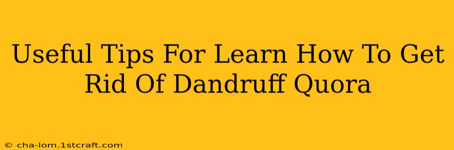 Useful Tips For Learn How To Get Rid Of Dandruff Quora