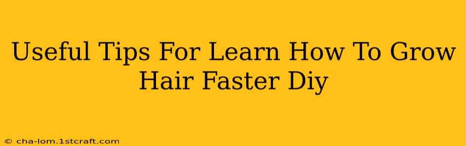 Useful Tips For Learn How To Grow Hair Faster Diy