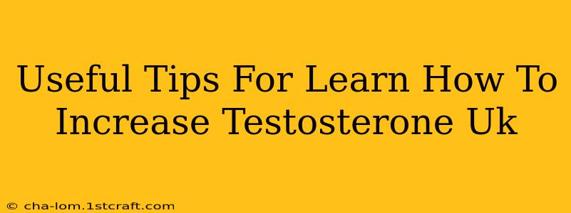 Useful Tips For Learn How To Increase Testosterone Uk