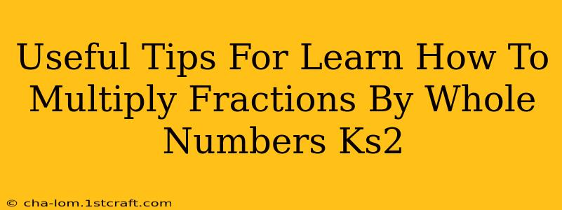 Useful Tips For Learn How To Multiply Fractions By Whole Numbers Ks2