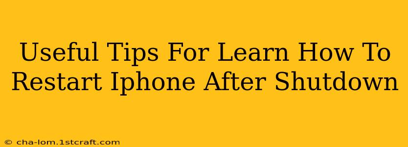 Useful Tips For Learn How To Restart Iphone After Shutdown