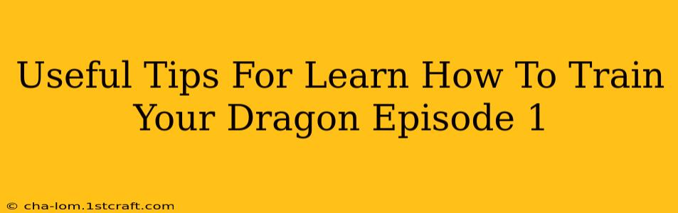 Useful Tips For Learn How To Train Your Dragon Episode 1