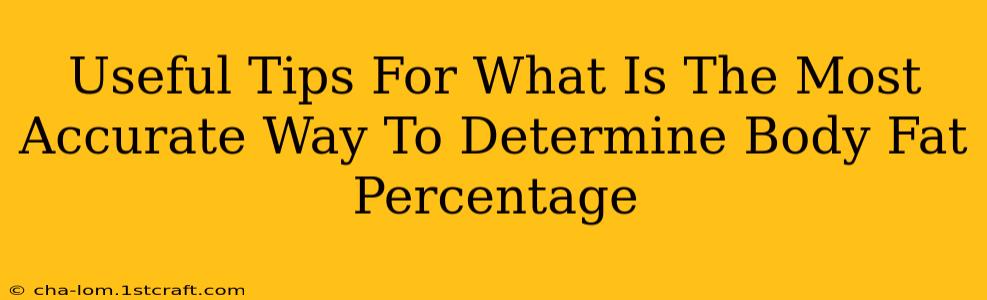 Useful Tips For What Is The Most Accurate Way To Determine Body Fat Percentage