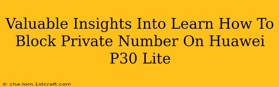 Valuable Insights Into Learn How To Block Private Number On Huawei P30 Lite