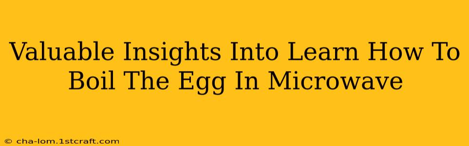 Valuable Insights Into Learn How To Boil The Egg In Microwave