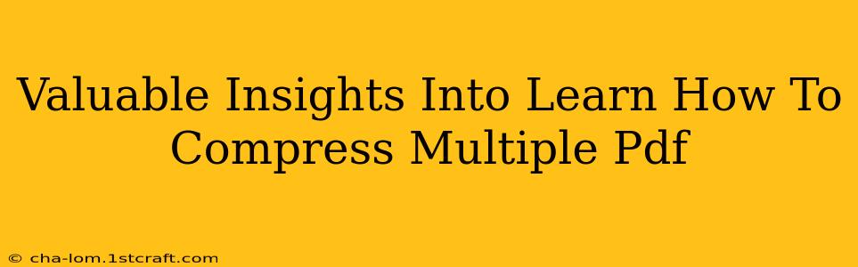 Valuable Insights Into Learn How To Compress Multiple Pdf