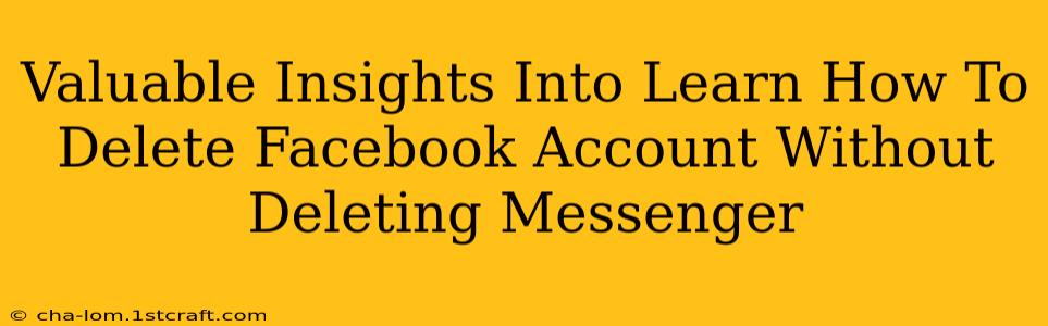 Valuable Insights Into Learn How To Delete Facebook Account Without Deleting Messenger