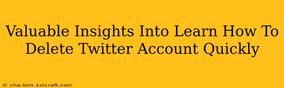 Valuable Insights Into Learn How To Delete Twitter Account Quickly