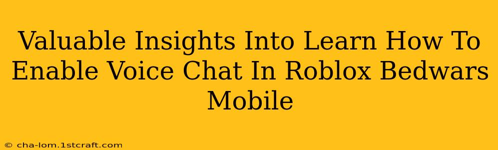 Valuable Insights Into Learn How To Enable Voice Chat In Roblox Bedwars Mobile