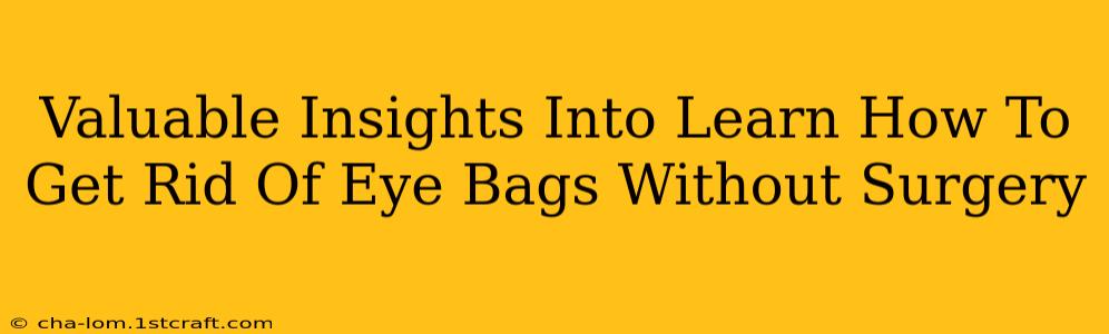 Valuable Insights Into Learn How To Get Rid Of Eye Bags Without Surgery