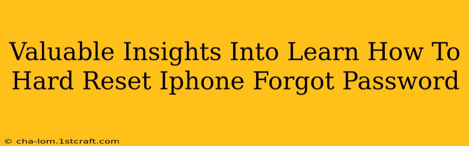 Valuable Insights Into Learn How To Hard Reset Iphone Forgot Password