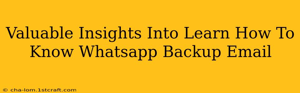 Valuable Insights Into Learn How To Know Whatsapp Backup Email