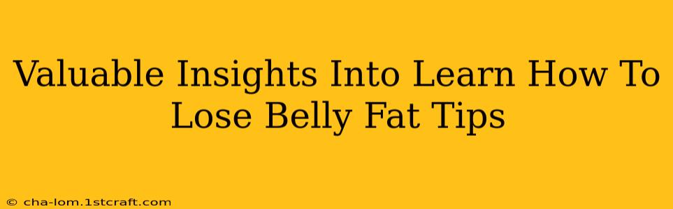 Valuable Insights Into Learn How To Lose Belly Fat Tips