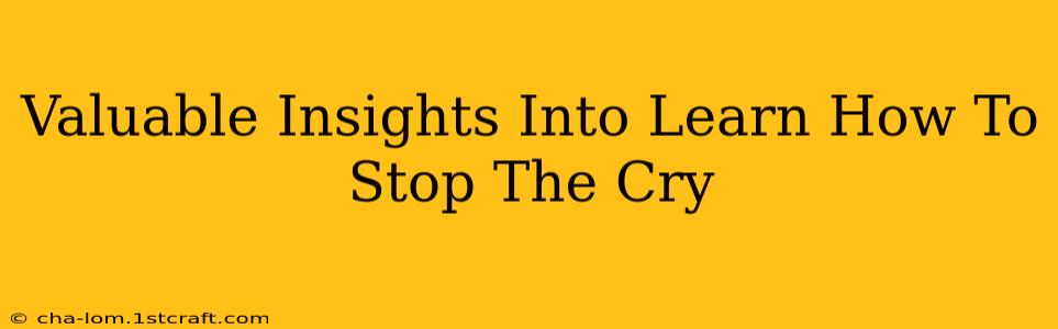 Valuable Insights Into Learn How To Stop The Cry