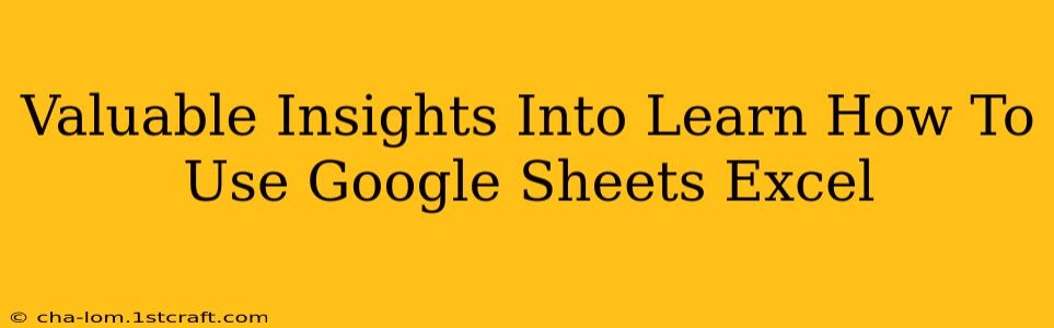 Valuable Insights Into Learn How To Use Google Sheets Excel