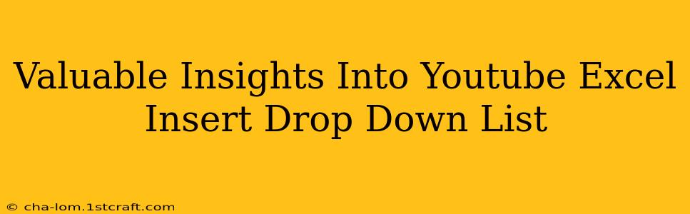 Valuable Insights Into Youtube Excel Insert Drop Down List